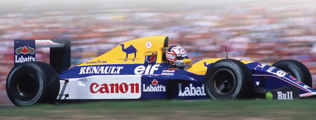 Williams Paint Protection